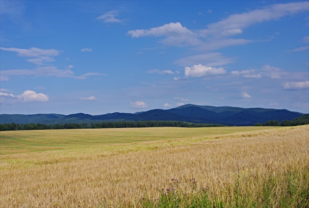 Krajina