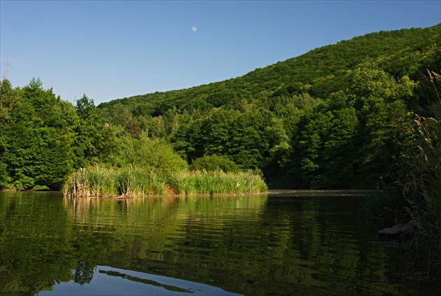 Podvečer pri Slatine