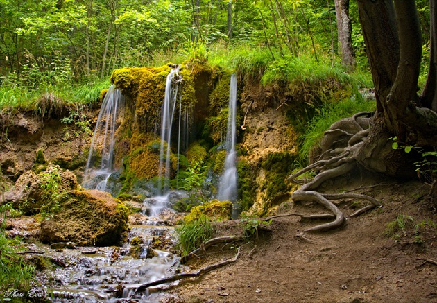 Moštenica