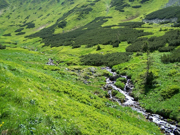 Nízke Tatry