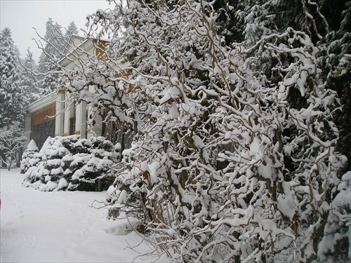 zabudnutý park