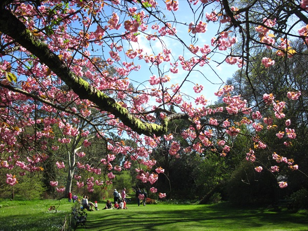 Mount Usher Gardens, Co. Wicklow, Ireland