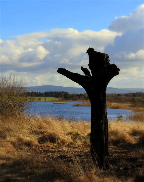 Lough Boora