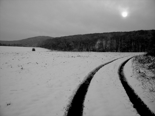 zasnežená cesta