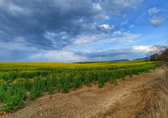 ...pohľady...