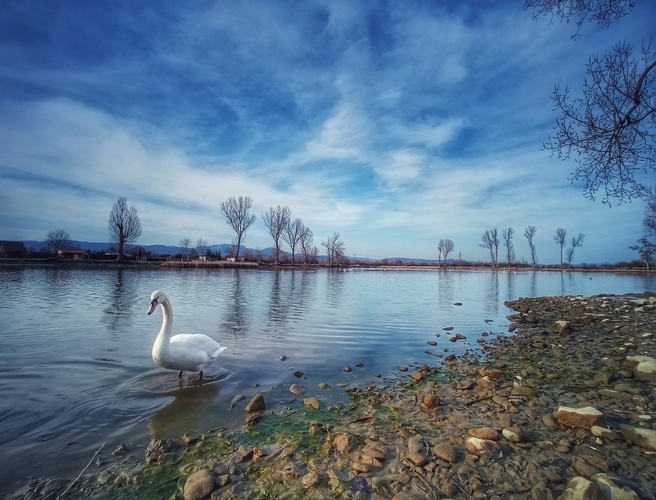 🦢 na prechádzke...