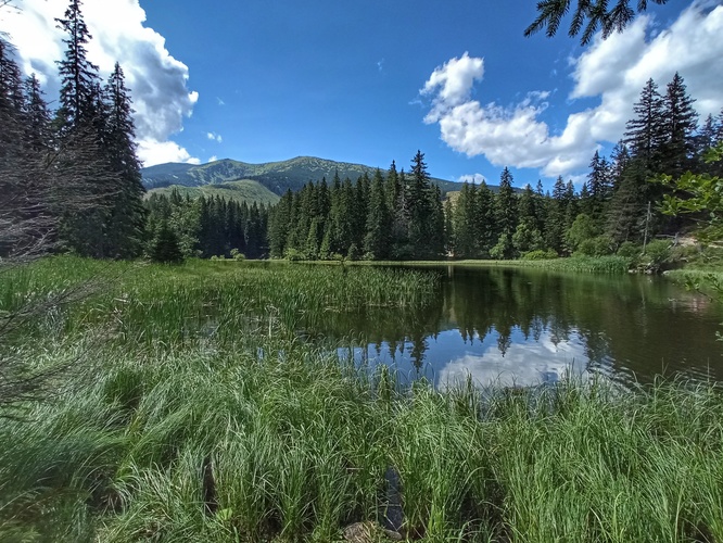 Vrbické pleso 💚