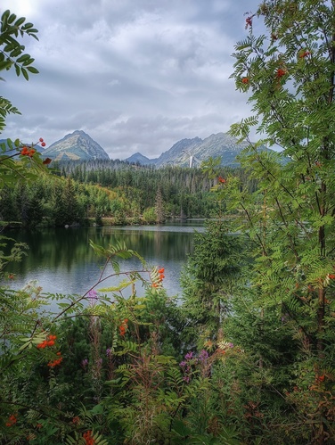 ❤️🤎💚 Štrbské Pleso 