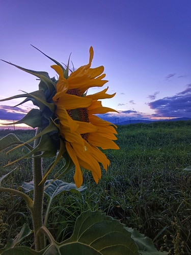 Rozlúčková...🌻🌻