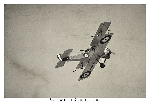 Sopwith Strutter