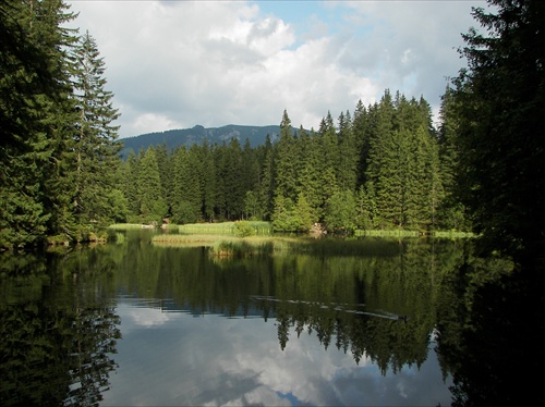 Vrbické  pleso  pod  Chopkom