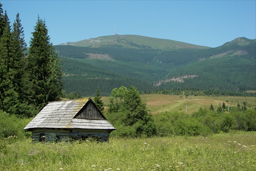 Pod  Kráľovou  holov