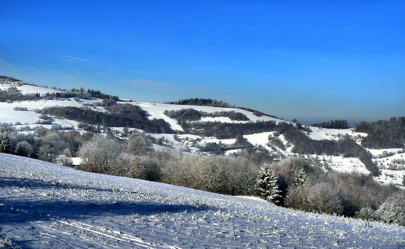 ... vyškovecké kopanice