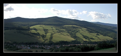 Pača