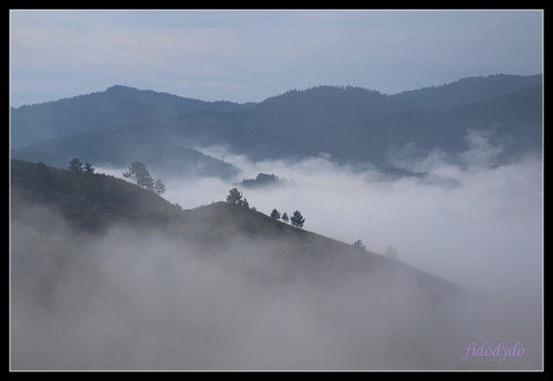 Pieniny