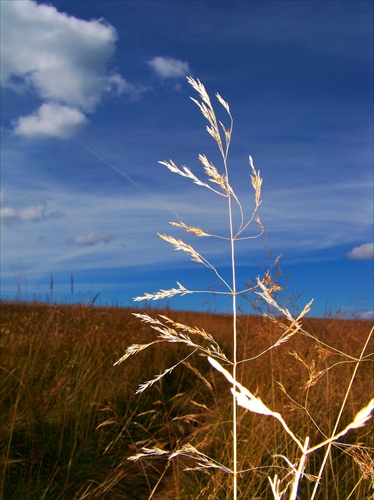 in chase of the wind..