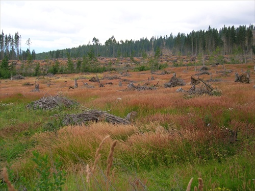 Tatry 2006