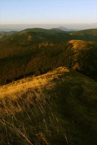 Chrbát Rakytova