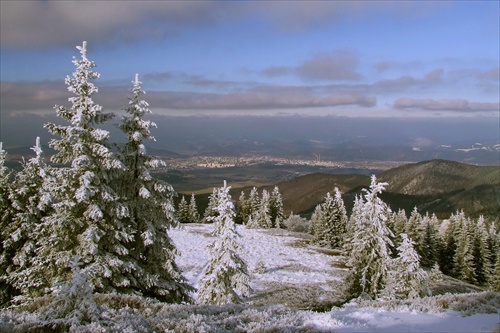 Žilina