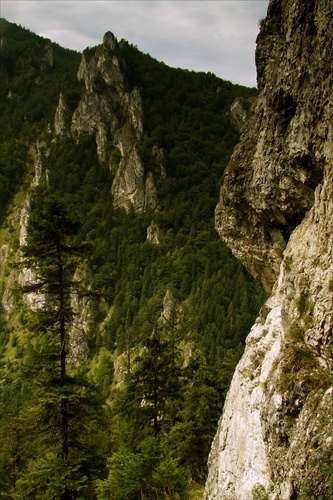 Pohľad na Sokolie cestou na Boboty