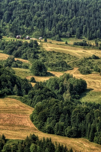 Polia nad sedlom Rovná hora