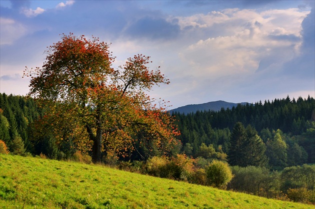 Jesenná krajinka