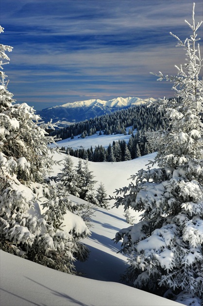 Zímný pohľad na Západné Tatry