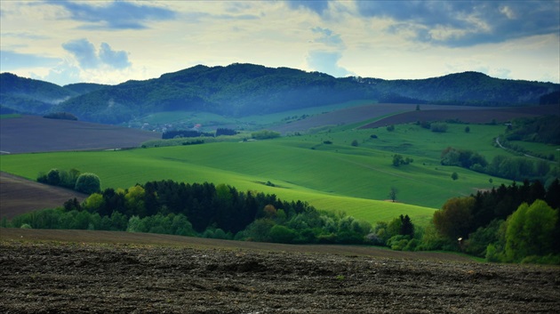 Krajinka po daždi