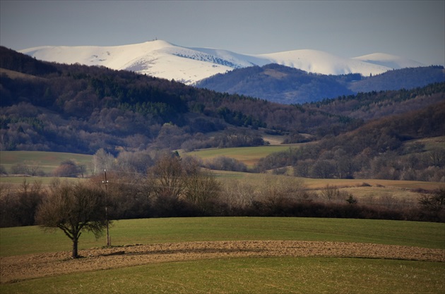 Krížna