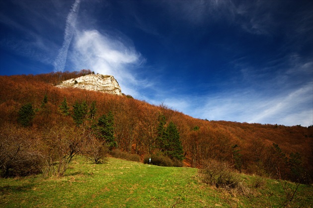 Temešská skala