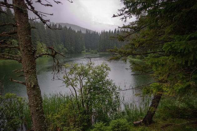 Upršané Vrbické pleso