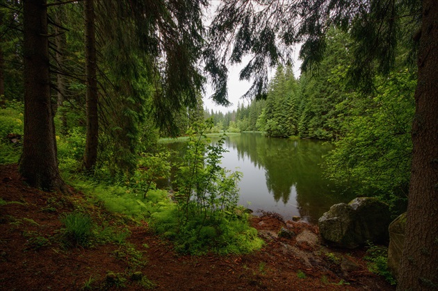 Upršané Vrbické pleso II