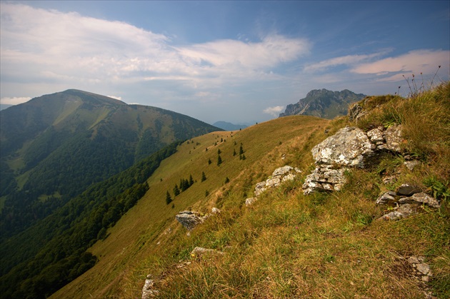 Na Osnici