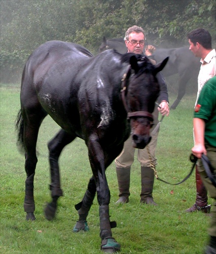 Military Boekelo v Holandsku