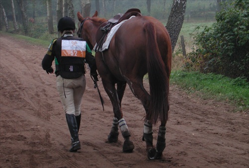 Military Boekelo v Holandsku