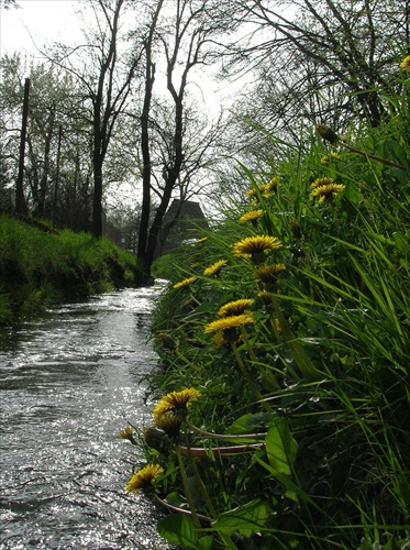 potôčik