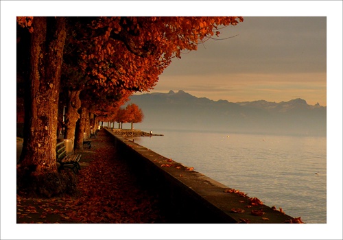 Lausanne