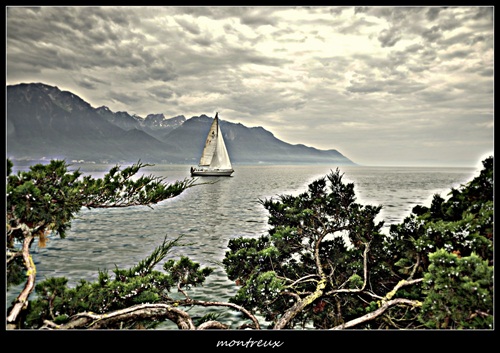 v montreux