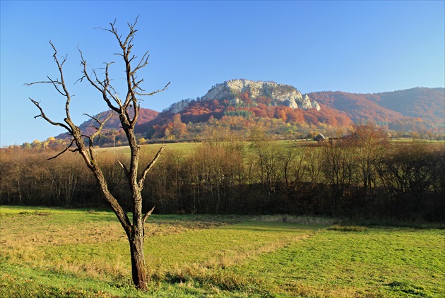 sám