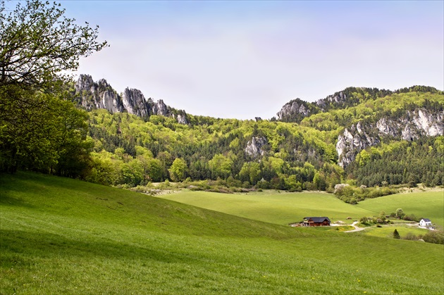 Súľovské skaly