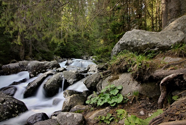 cestou na Zelené pleso