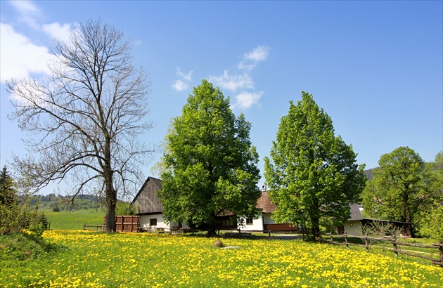 Veľké Borové