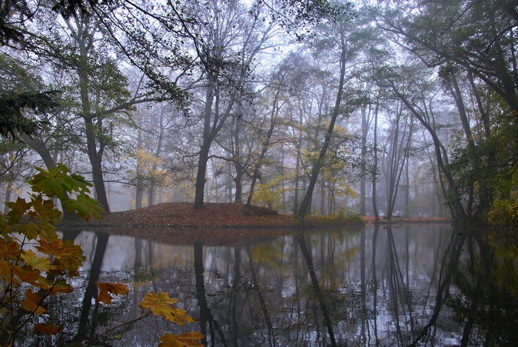 zrkadlenie v hmle