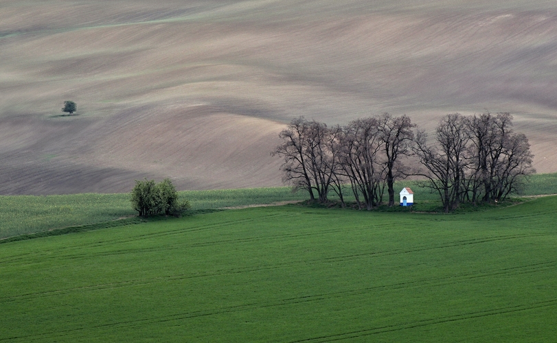 kaplička