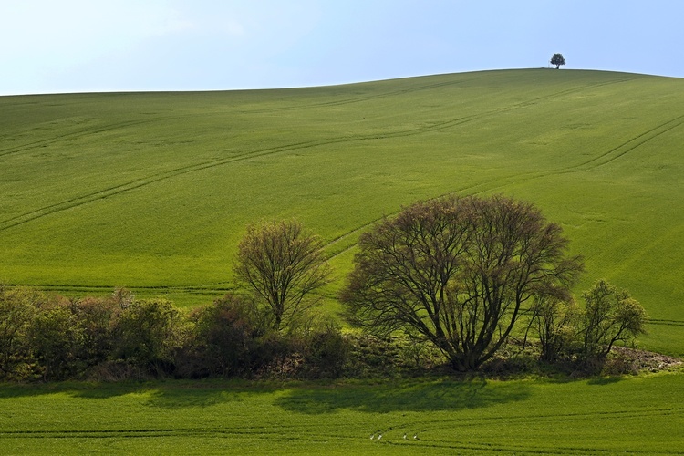 ... na horizonte