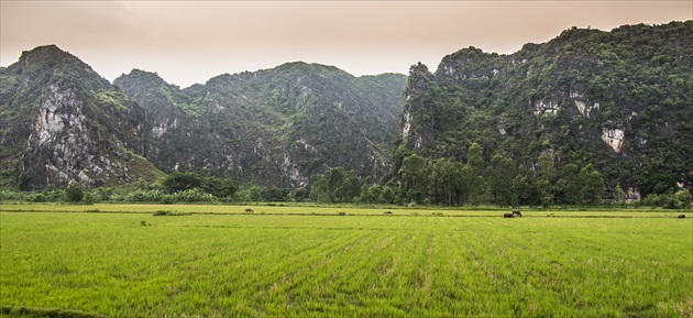 Vietnam