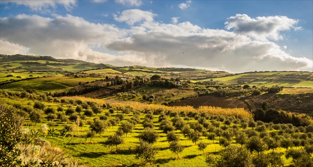 Sardegna