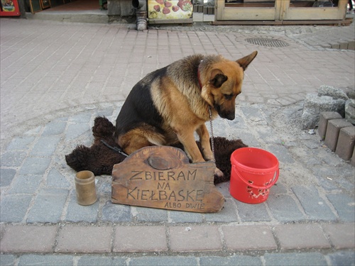 "Zbieram na klobásku. Alebo dve."