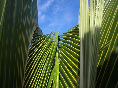 cuba