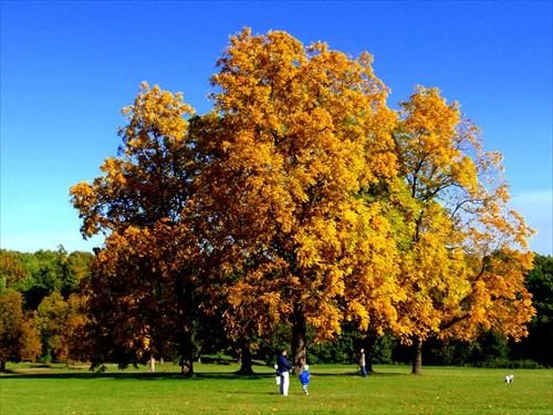 nedeľné popoludnie